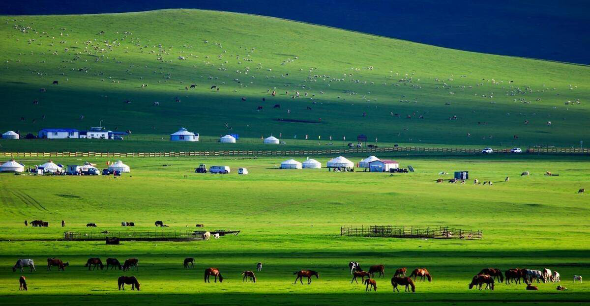 完了！我迷失在内蒙古！